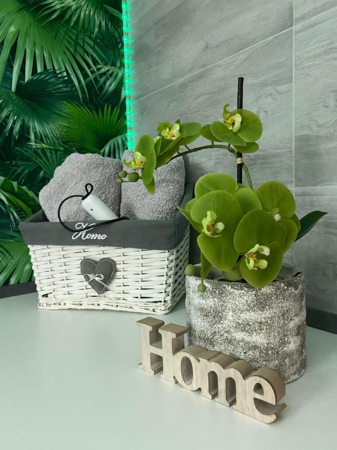 Ferienwohnung Erfurter Rose Екстериор снимка